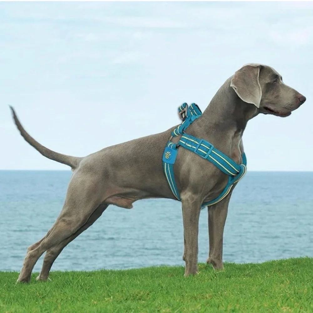 DOCO Solar Air Step-in Reflective Dog Mesh Harness “Pink Maniac” XL